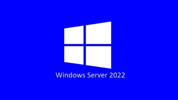 Microsoft Server Standard 2022 - 1 User CAL Pack OEM